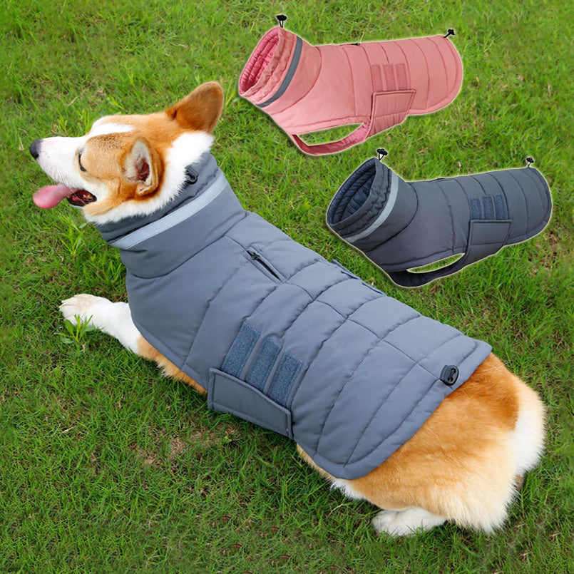 Manteau matelassé imperméable pour chien GRIFFE, coloris gris et rose, chien allongé dans l'herbe