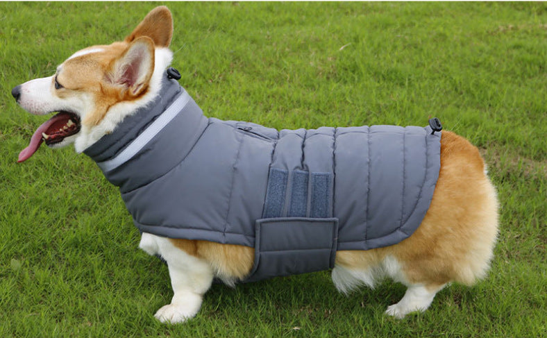 Chien portant le manteau matelassé imperméable GRIFFE gris dans l'herbe